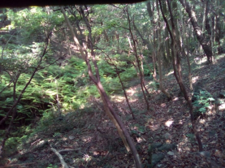 画像15